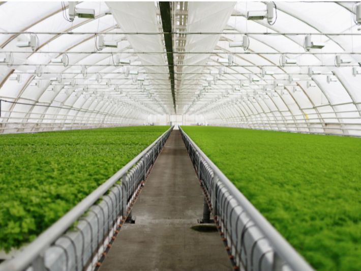 /بيت بلاستيكي صغير